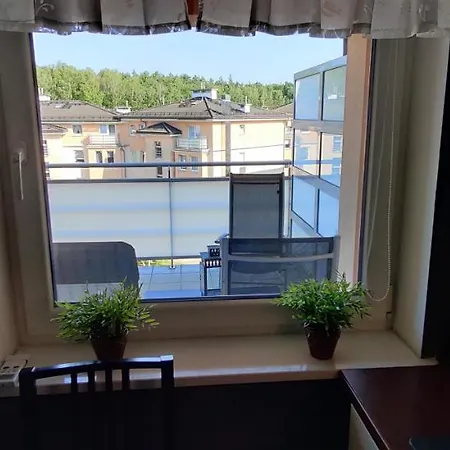 Leśna Z Tarasem Apartament *